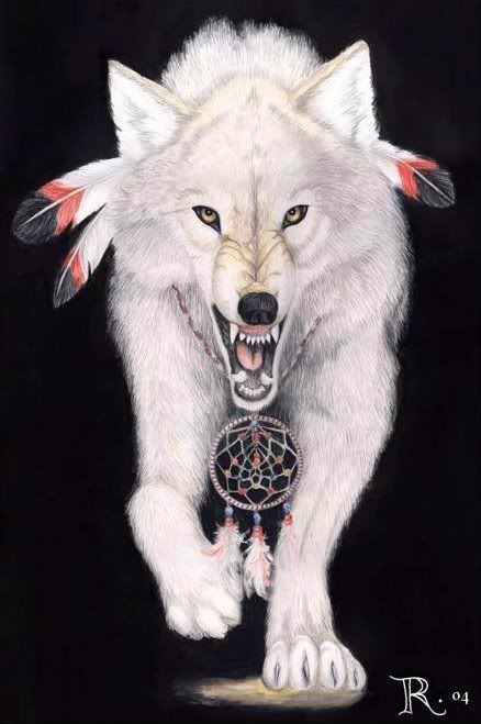 coyote and the buffalo