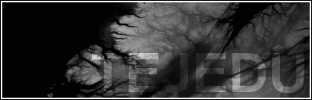 Posted Image