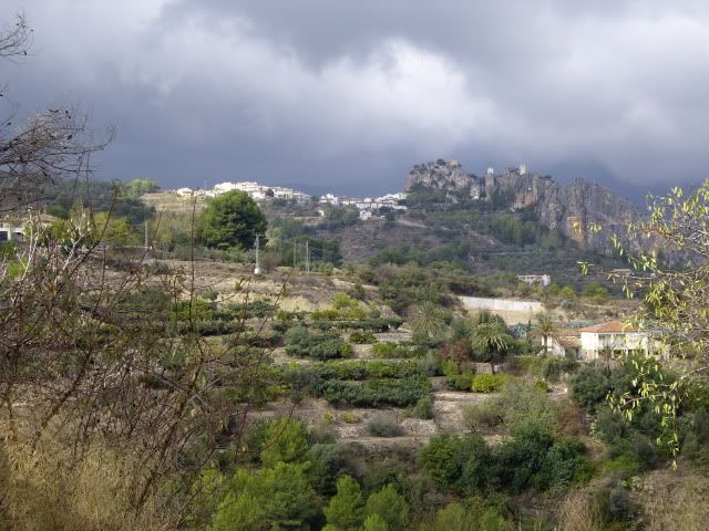 IMGP1452.jpg