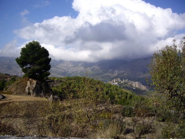 IMGP1495.jpg