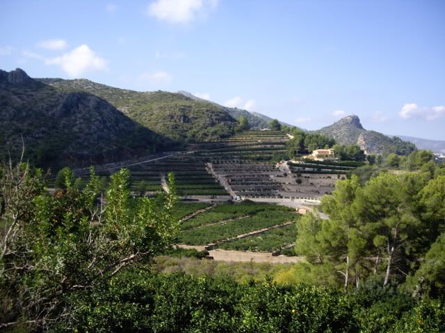 IMGP1496.jpg