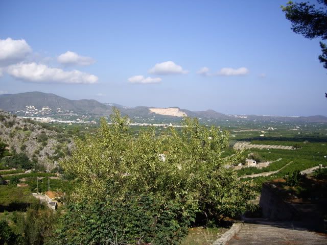 IMGP1497.jpg