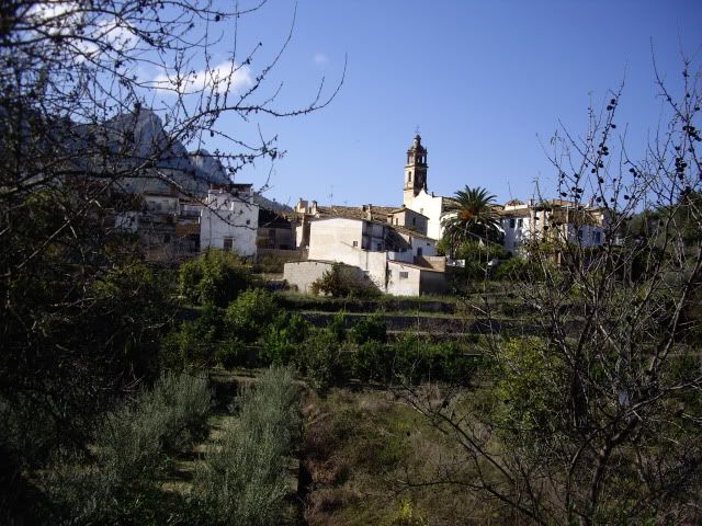 IMGP1498.jpg