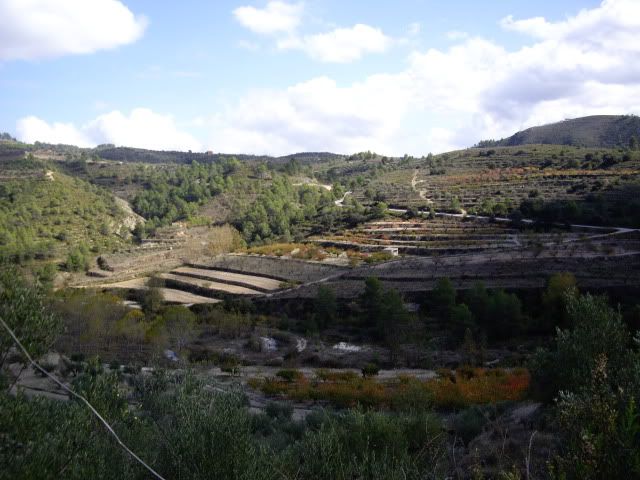 IMGP1517.jpg