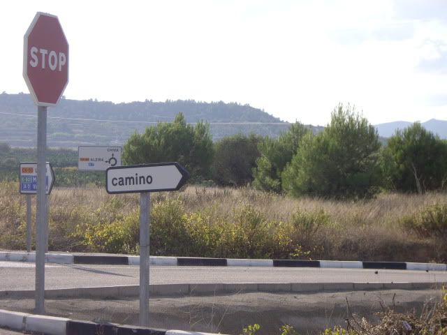 IMGP1519.jpg