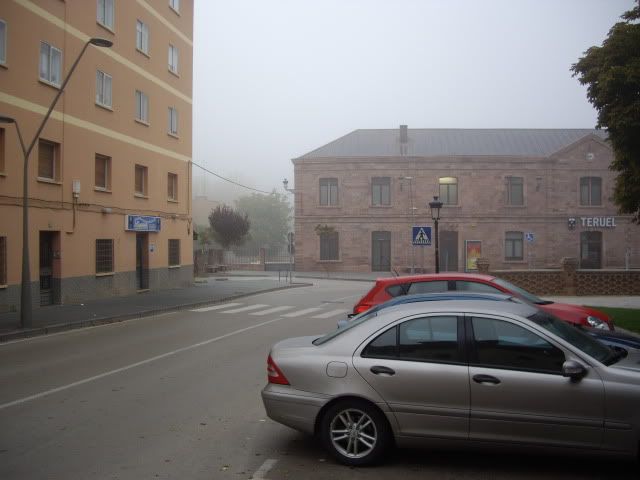 IMGP1528.jpg