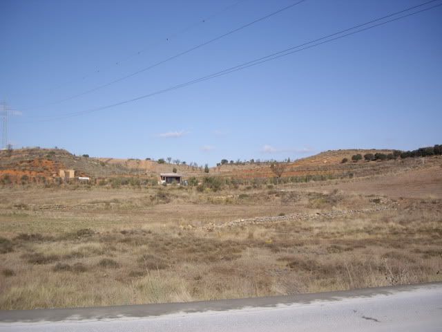 IMGP1532.jpg