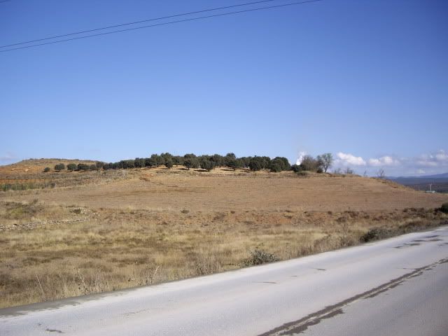 IMGP1534.jpg