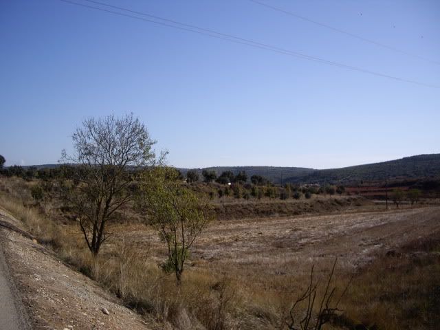IMGP1535.jpg
