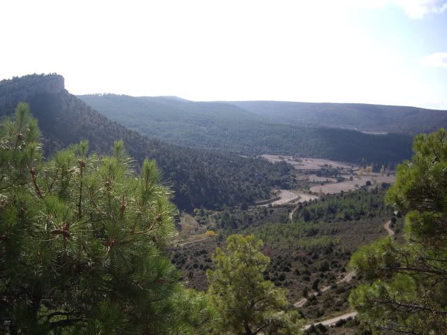 IMGP1536.jpg