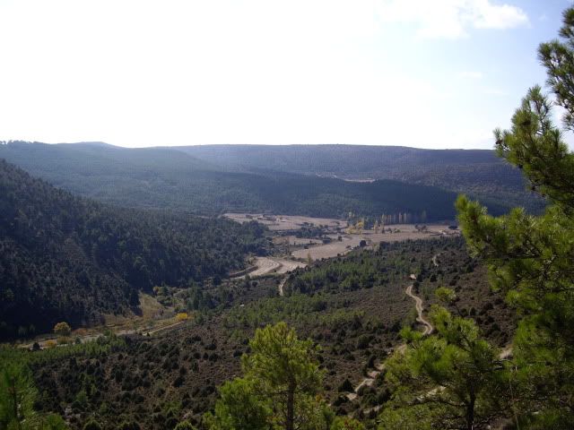 IMGP1541.jpg