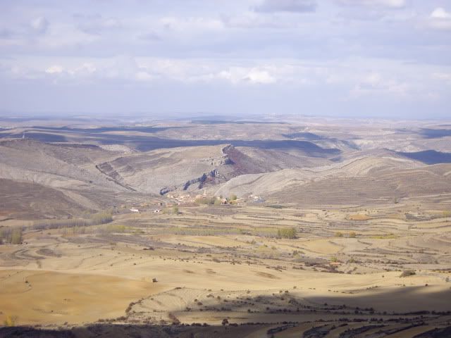 IMGP1549.jpg