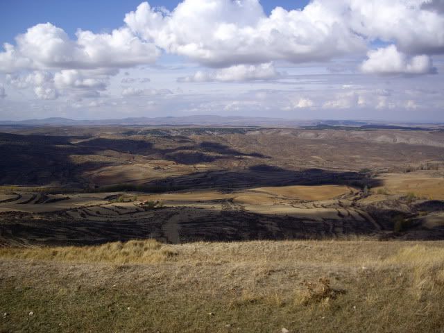 IMGP1551.jpg