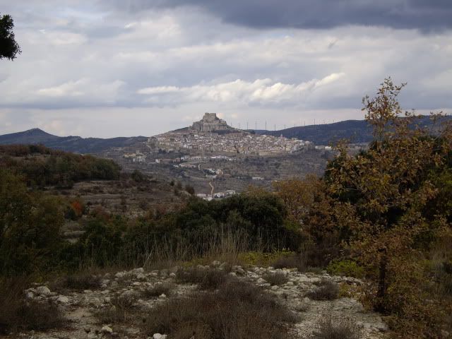 IMGP1552.jpg