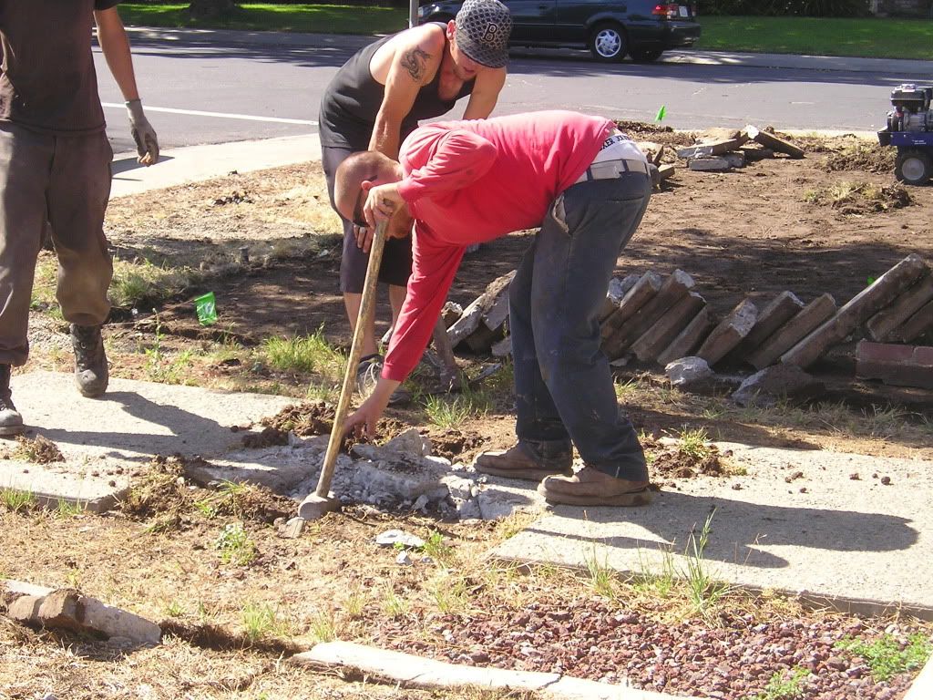 View topic Journey of Building a Wisdom home (Boston 50.7sq) • Home