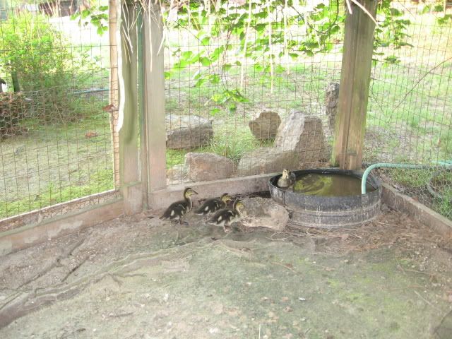 APRIL20012.jpg
