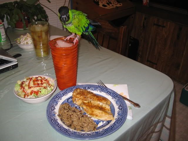 FOODfeb2010067.jpg
