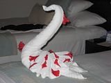 th_076.jpg