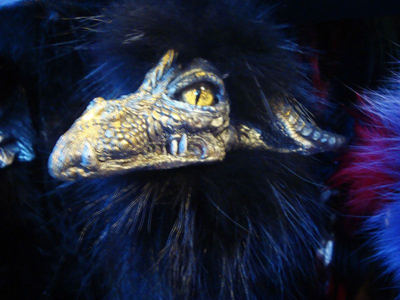  photo ren10_zps8dfb8013.jpg