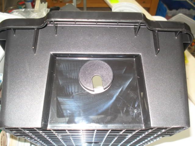 DSC02664.jpg