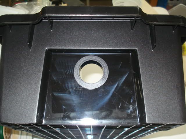 DSC02665.jpg