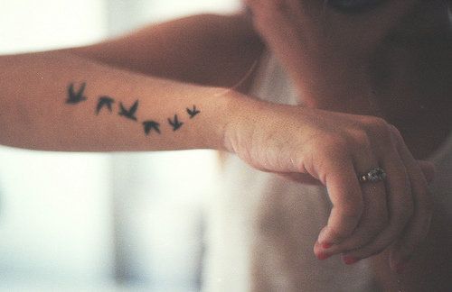 Tatuagem de pássaros no braço