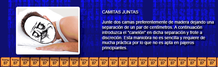 camasutra camasutra