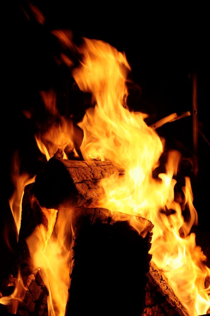 IMAGE: http://i946.photobucket.com/albums/ad309/etbryson/3999124535_521a5eeef9_b.jpg