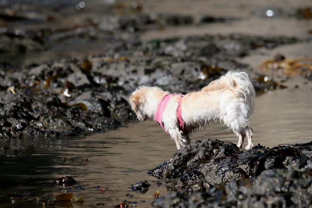 IMAGE: http://i946.photobucket.com/albums/ad309/etbryson/3999913586_b9833b4d44_b.jpg