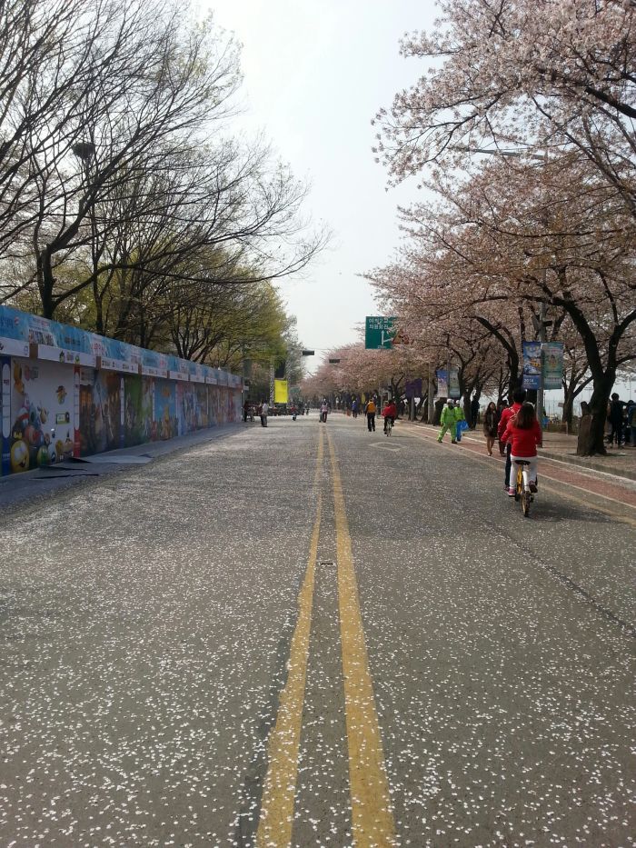  photo seoullife-8_zps2c5604c2.jpg