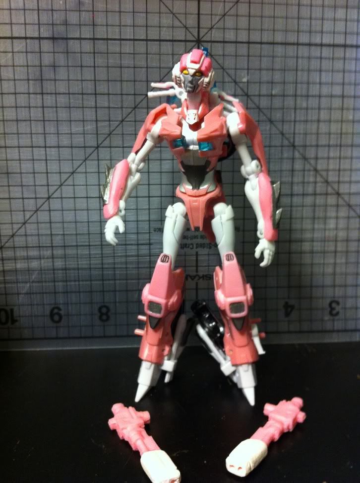 nycc arcee