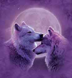http://i946.photobucket.com/albums/ad310/rainnkaz19/Wolves/LovingWolves2229.jpg